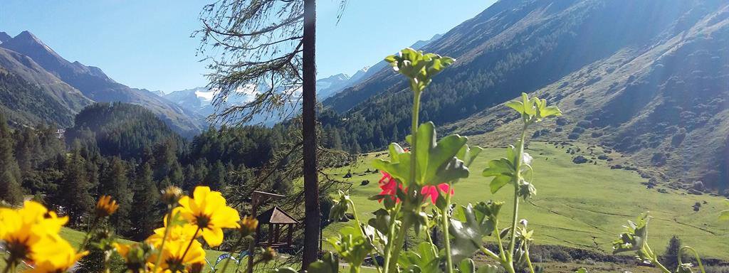 Aussicht - Inka Walter-Greiffenhagen Apartment - Obergurgl 