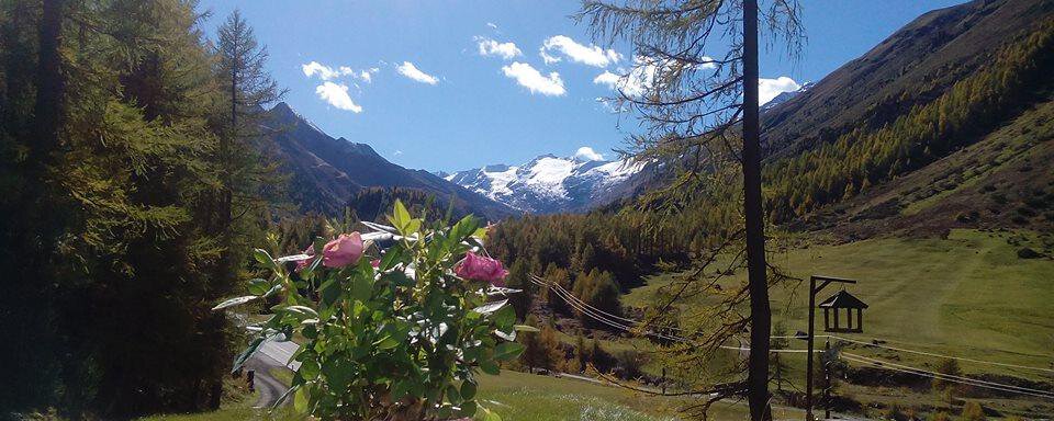 Gurglausblick - Inka Walter-Greiffenhagen Apartment - Obergurgl 